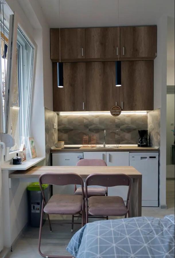 New Studio In The City Center Novi Sad Exteriér fotografie